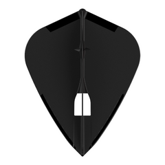 L-STYLE CHAMPAGNE PRO L4 KITE FLIGHT-5