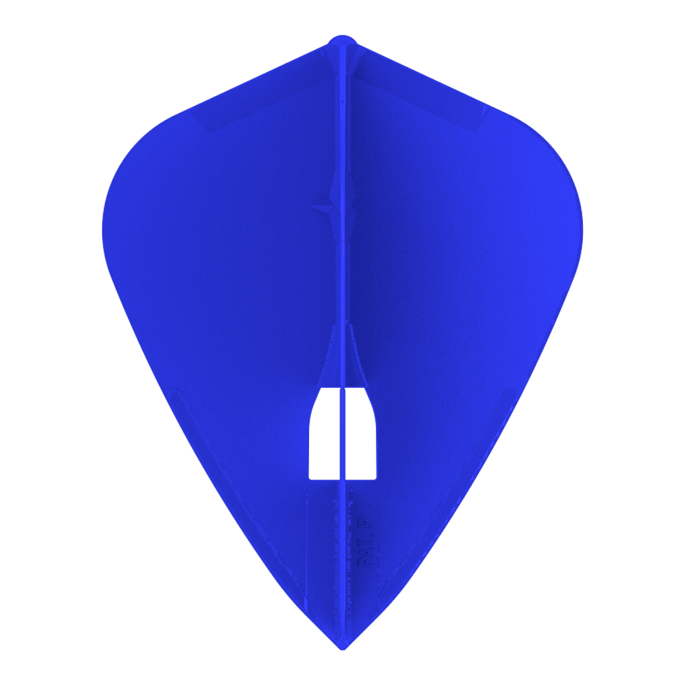 L-STYLE CHAMPAGNE PRO L4 KITE FLIGHT-2