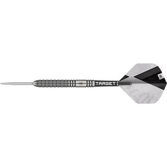 TARGET BEAU GREAVES G1 SWISS POINT STEELDART 90%-1