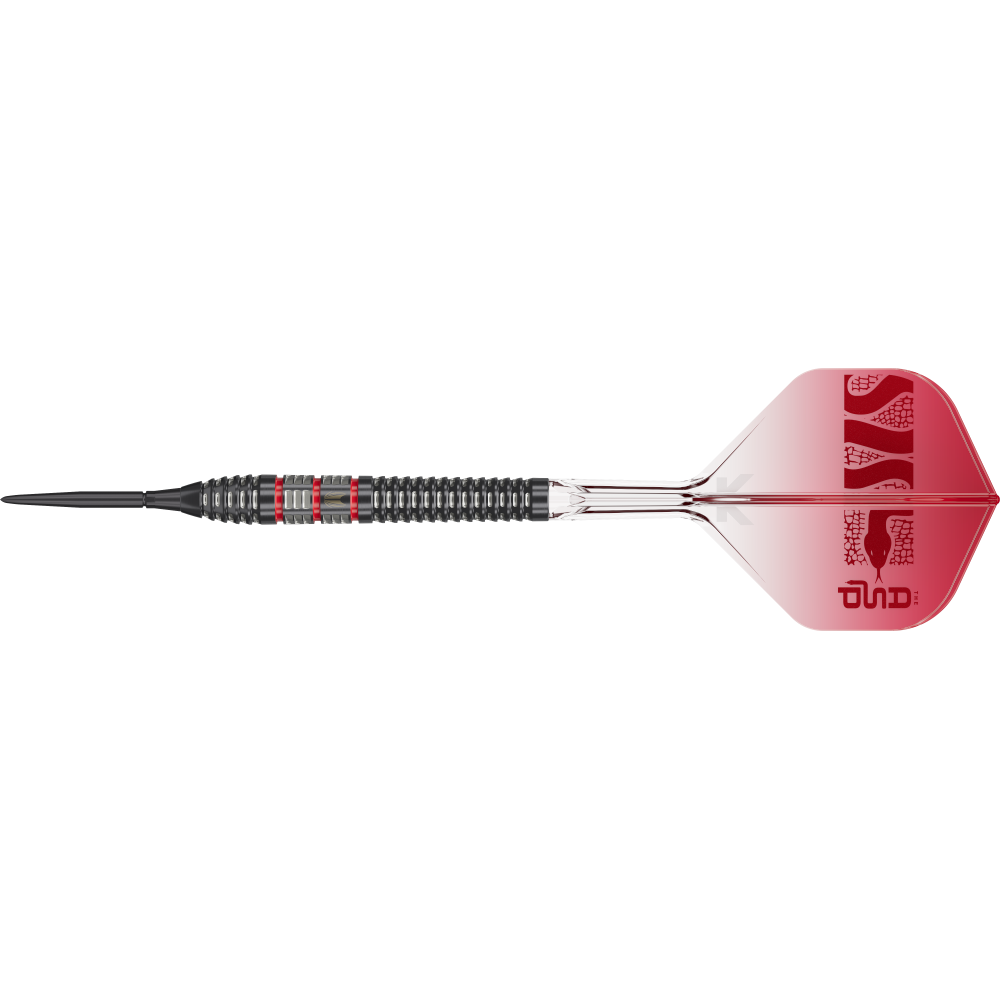 TARGET NATHAN ASPINALL 95K SWISS POINT STEELDART 95%-1