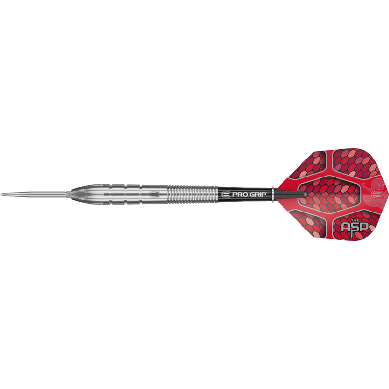 TARGET NATHAN ASPINALL G1 SWISS POINT STEELDART 90%-1