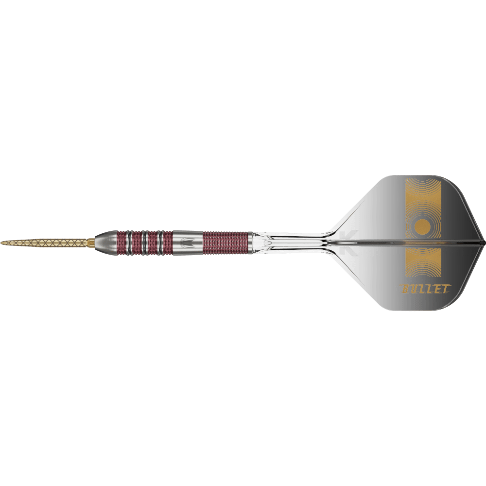 TARGET STEPHEN BUNTING 95K SWISS POINT STEELDART 95%