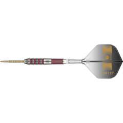 TARGET STEPHEN BUNTING 95K SWISS POINT STEELDART 95%-1