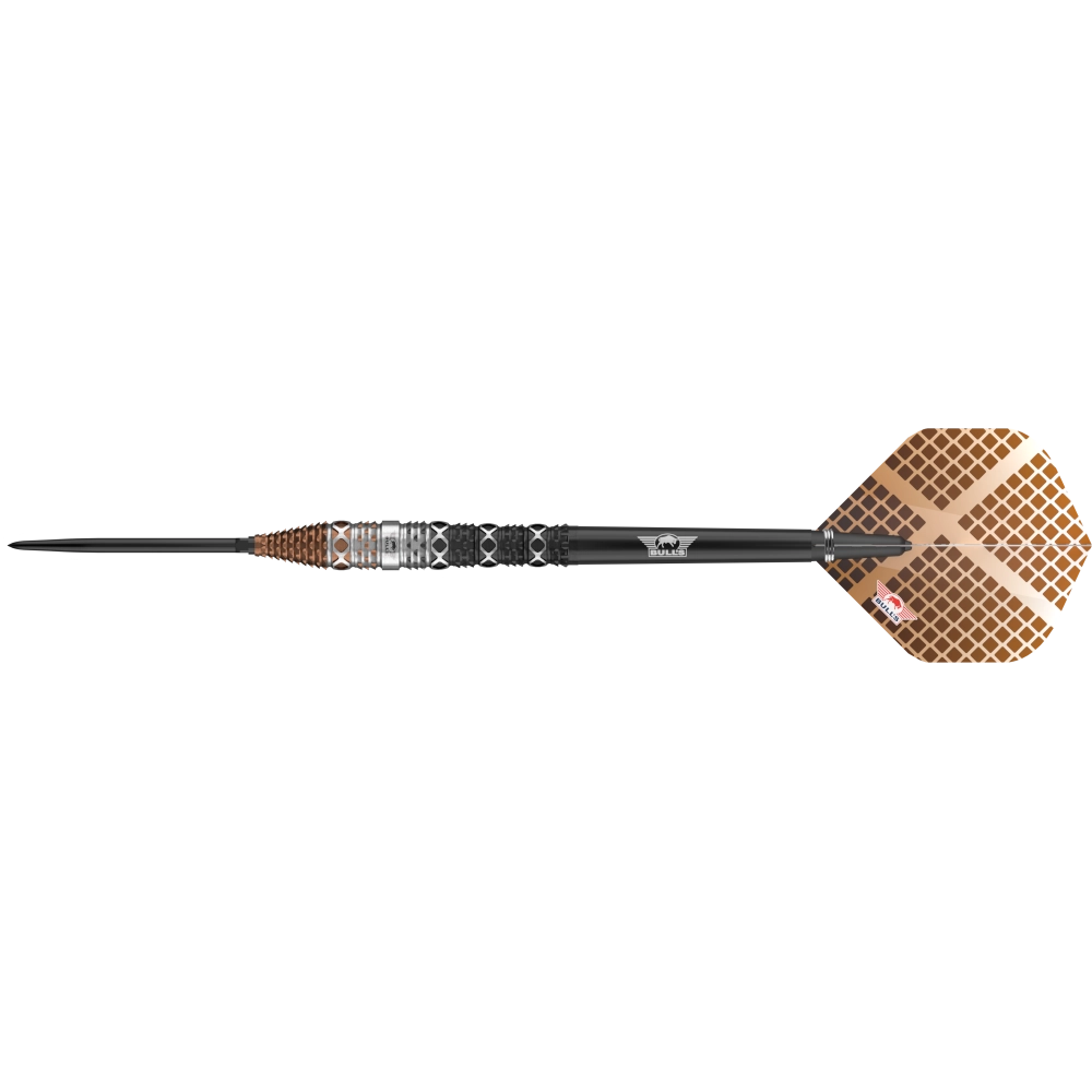 frontansicht
Frontansicht der BULL'S NL Max Hopp 95 Convertible Point Steeldarts