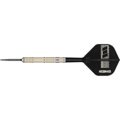 Frontansicht der Target Dimitri van den Bergh 95K Swiss Point Steeldarts