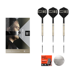 Target Dimitri van den Bergh 95K Steeldarts im modernen Premium Design