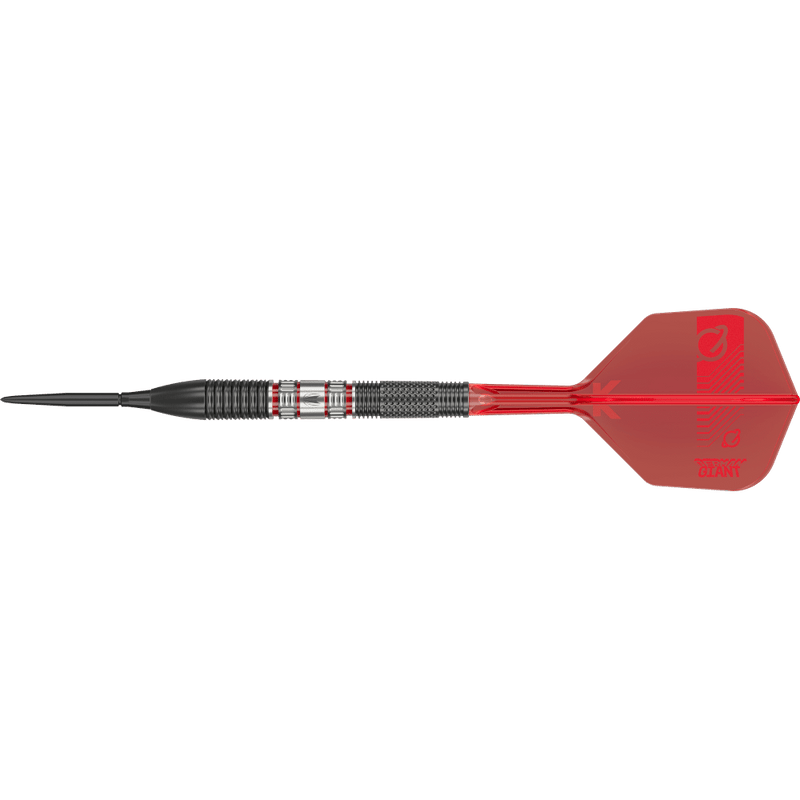 Frontansicht der Target Gabriel Clemens 95K Swiss Point Steeldarts