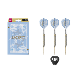 Target Adrian Lewis Showdown Swiss Point Steeldart 95% – Set und Lieferumfang