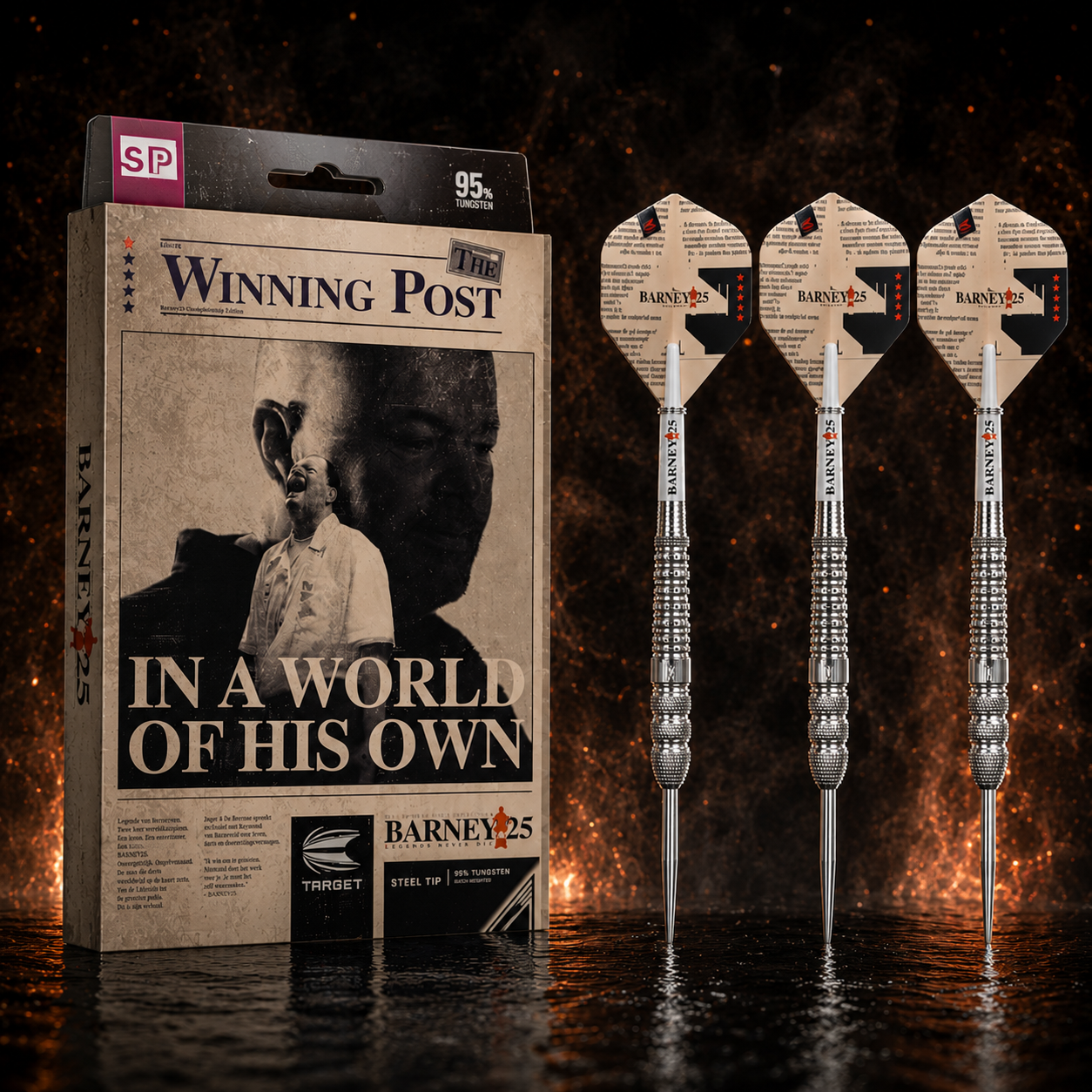 Target Raymond van Barneveld Barney25 Swiss Point Steeldart 95 Prozent Tungsten in Profiqualität