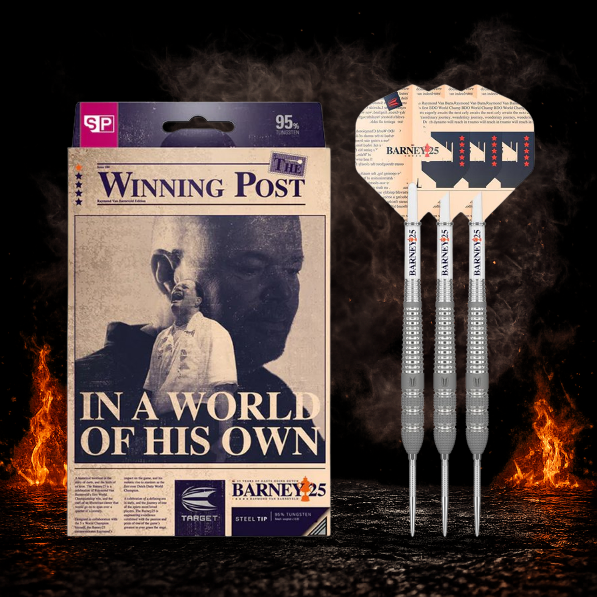 Target Raymond van Barneveld Barney25 Swiss Point Steeldart 95 Prozent Tungsten in Profiqualität