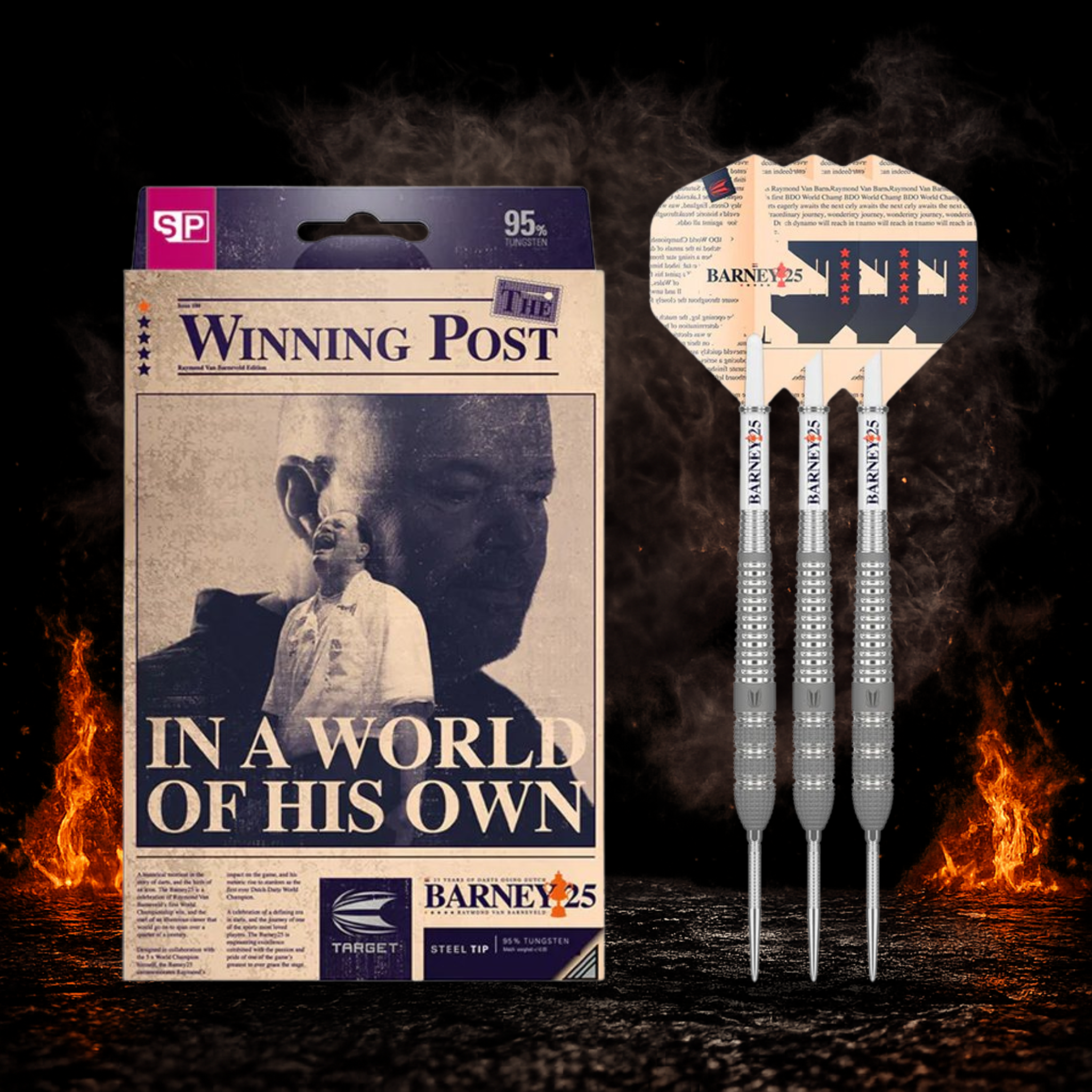 Target Raymond van Barneveld Barney25 Swiss Point Steeldart 95 Prozent Tungsten in Profiqualität