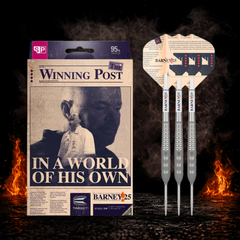 Target Raymond van Barneveld Barney25 Swiss Point Steeldart 95 Prozent Tungsten in Profiqualität