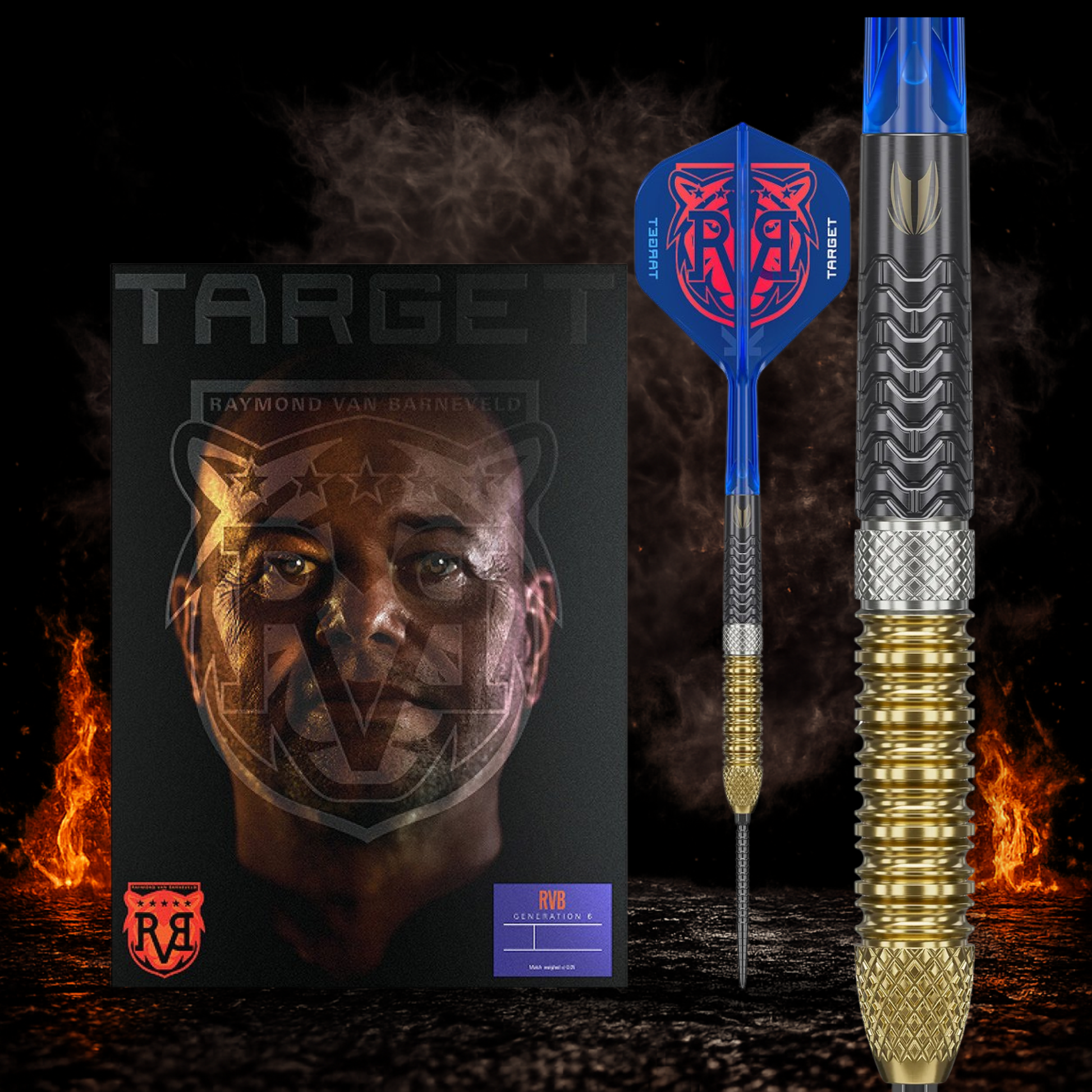 Target Raymond van Barneveld G6 Swiss Point Steeldart 95 Prozent Tungsten in Profiqualität