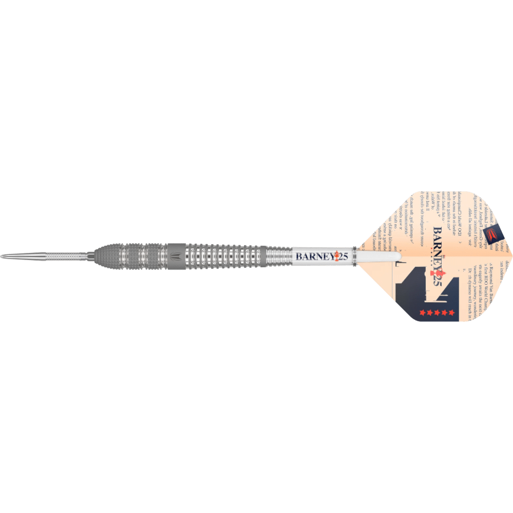 Frontansicht der Target Raymond van Barneveld Barney25 Swiss Point Steeldarts