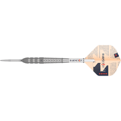 Frontansicht der Target Raymond van Barneveld Barney25 Swiss Point Steeldarts