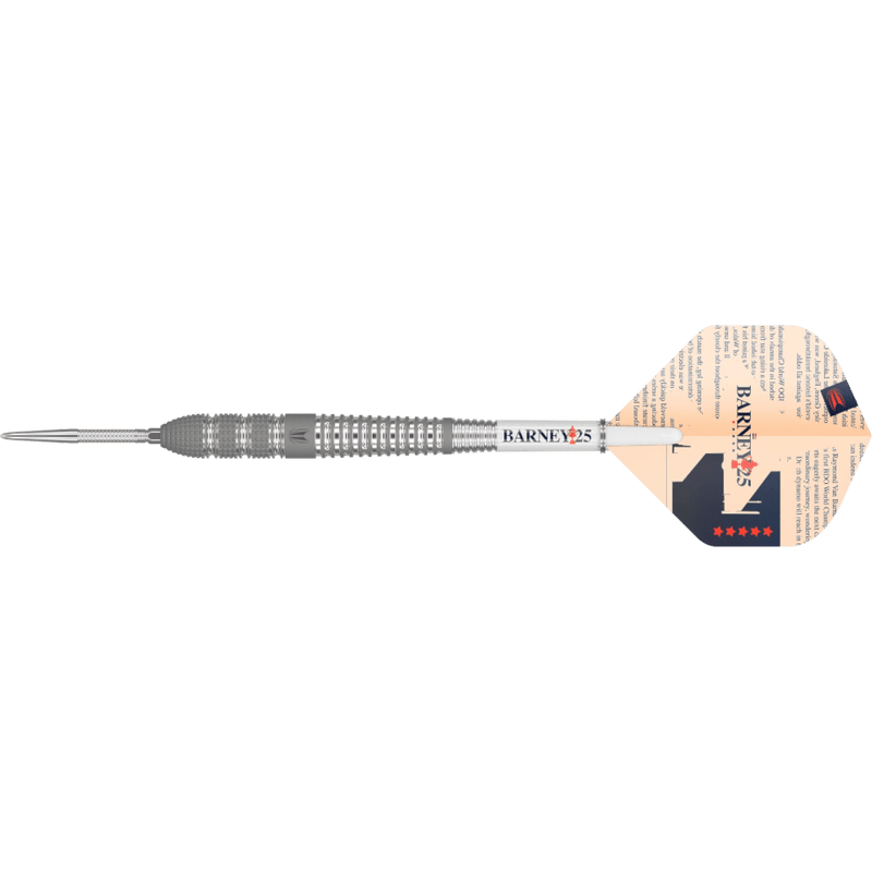 Frontansicht der Target Raymond van Barneveld Barney25 Swiss Point Steeldarts