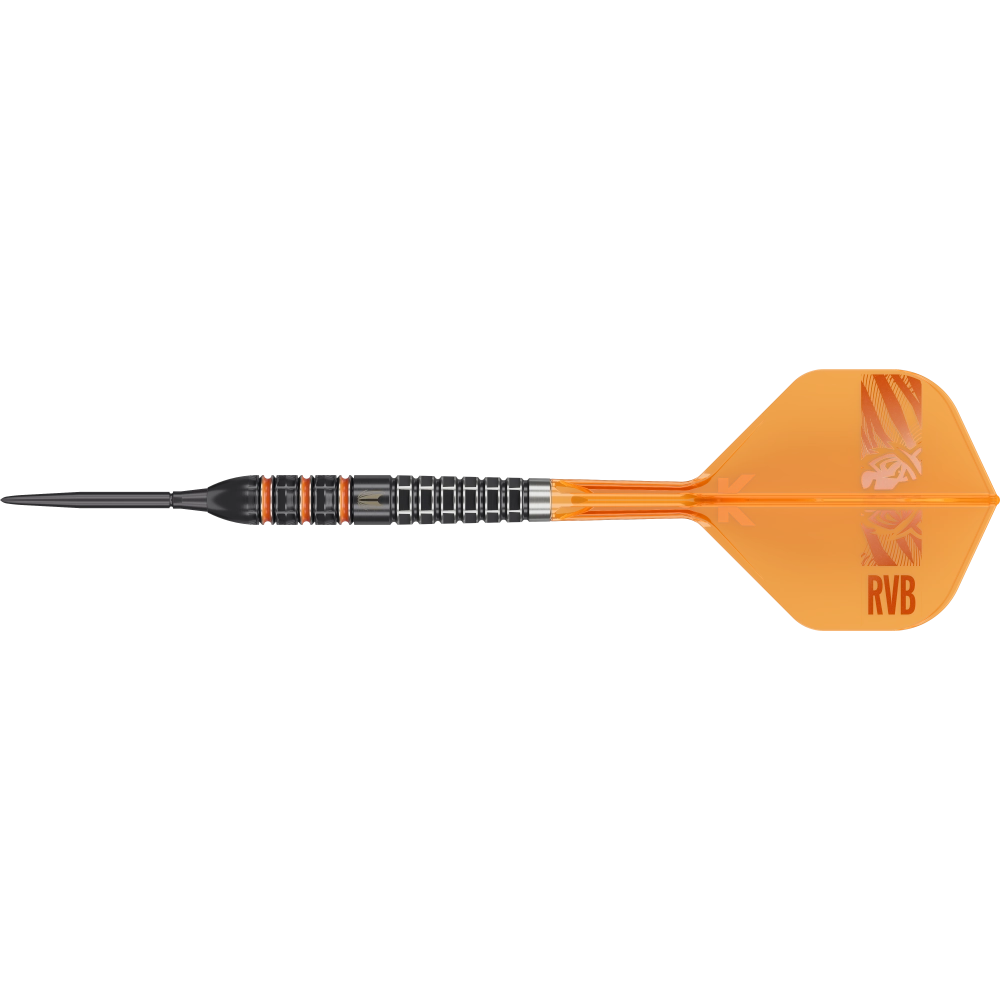 Target Raymond van Barneveld 95K Swiss Point Steeldart 95% – Vollständiger Dart mit Flight und Spitze