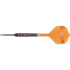 Target Raymond van Barneveld 95K Swiss Point Steeldart 95% – Vollständiger Dart mit Flight und Spitze