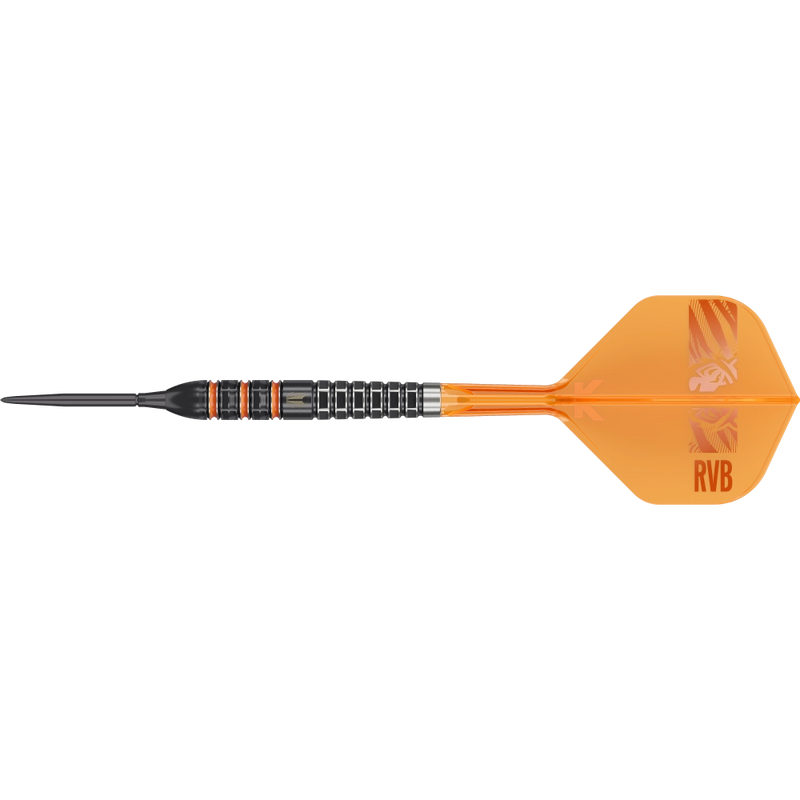 Target Raymond van Barneveld 95K Swiss Point Steeldart 95% – Vollständiger Dart mit Flight und Spitze