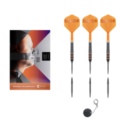 Target Raymond van Barneveld 95K Swiss Point Steeldart 95% – Set und Lieferumfang